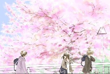 蜜芽188mon192忘忧草永不失联